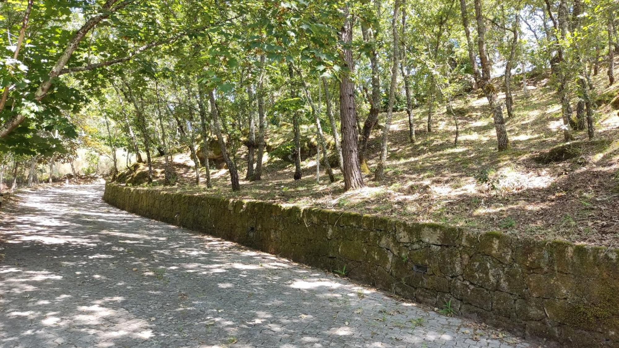 Casa De Apeleiras Bed & Breakfast Marco de Canavezes Dış mekan fotoğraf